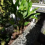 Otel Du Lion D'or 3*