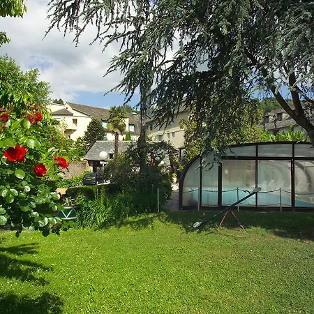 Hotel Du Lion D'or Entraygues-sur-Truyère