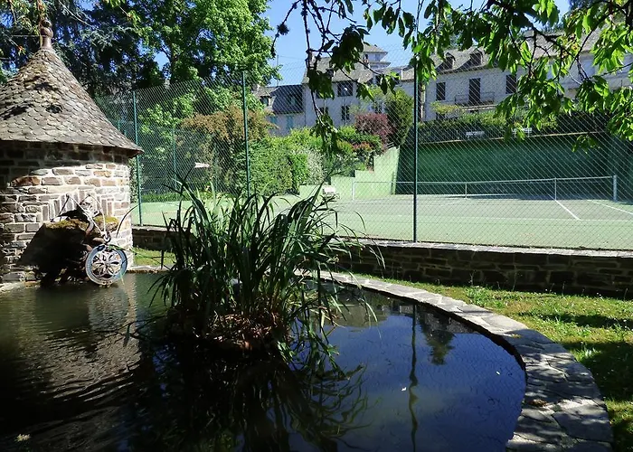 Du Lion D'or Hotel Entraygues-sur-Truyère
