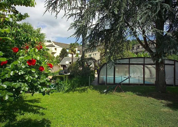 Hotel Du Lion D'or Entraygues-sur-Truyère