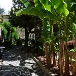 Hotel Du Lion D'or Entraygues-sur-Truyere