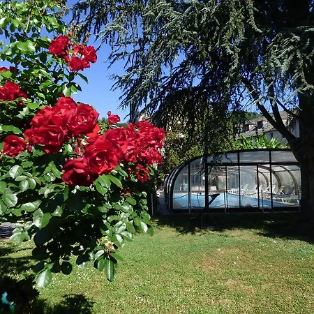 Du Lion D'or Entraygues-sur-Truyère