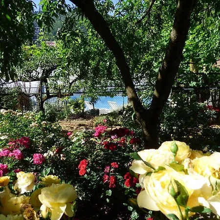 Du Lion D'or Ξενοδοχείο