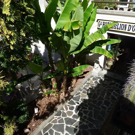 酒店 Du Lion D'or 3*