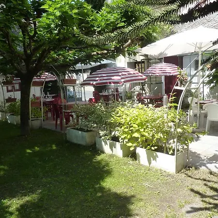 Du Lion D'or Hotel Entraygues-sur-Truyère