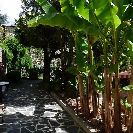 酒店 Du Lion D'or 昂特赖格·苏尔·特鲁耶