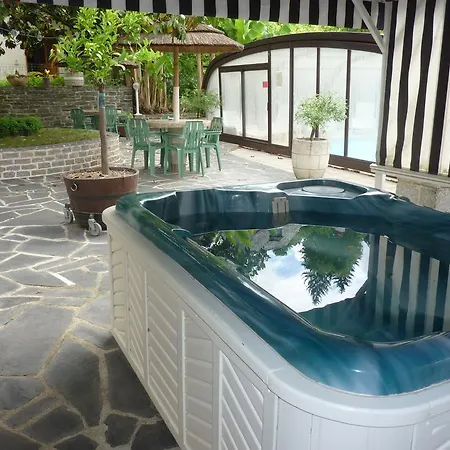 Du Lion D'or 酒店 3*