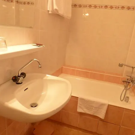 酒店 Du Lion D'or 3*